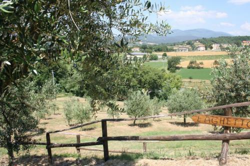 Agroturismo Agriturismo Val Della Pieve