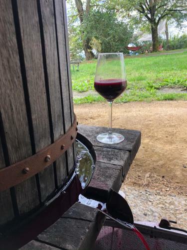 Apartamento G�te Les Vignes de Pich