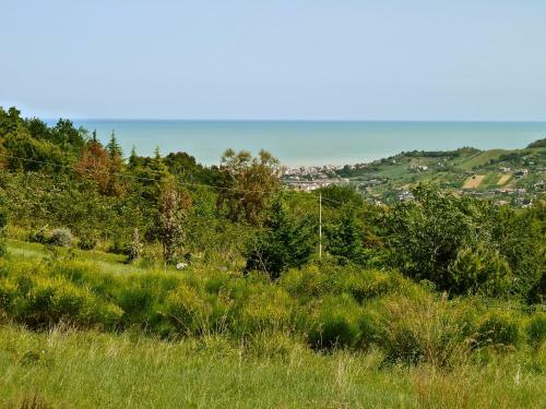 Domus Petrae Bed & Breakfast