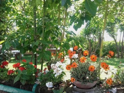 Agroturismo Pier Delle Vigne B&B