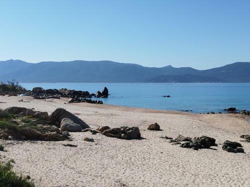 Apartamento Chalets Bois 150m de La Plage