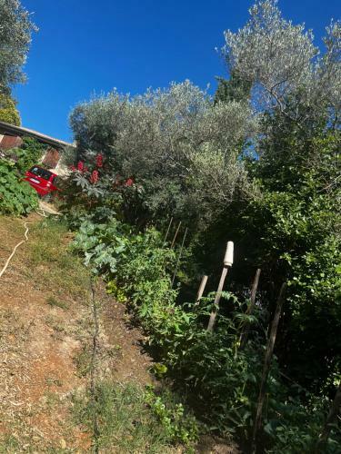 Bed & Breakfast Le Mazet de Choubouloute