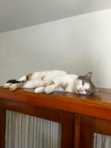 Bed & Breakfast Le Mazet de Choubouloute