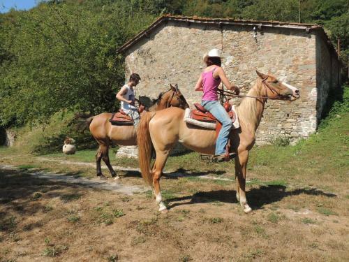 Bed & Breakfast Locanda Di Alberi