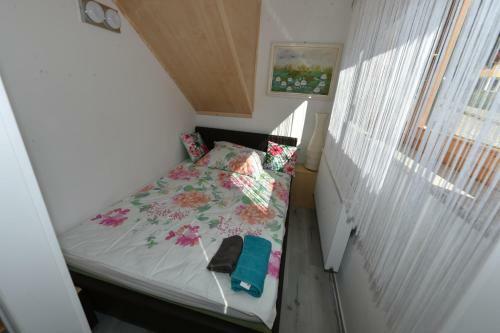 Hostal Vila Kosca - 2 Apartments For Rent