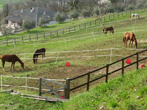 Bed & Breakfast Paglia E Fieno