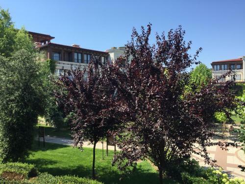 Green Life Apartment - 1 Br, ??????????, 2- Rooms