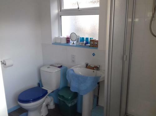 Hostal Driftwood Hotel