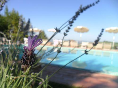 Apartamento Podere Mezzastrada