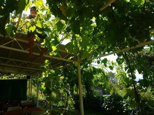 Hostal Villa Luka