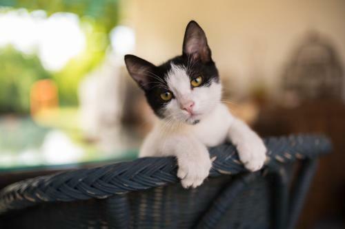 Agroturismo Settecentoalberi