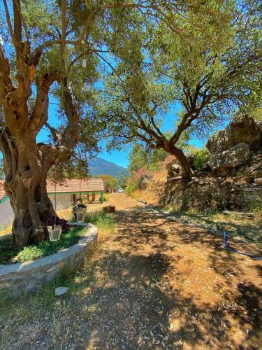 Hotel ?ztuzu Homes