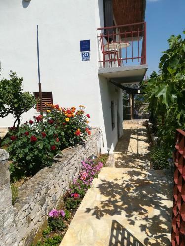 Studio Apartment Zana