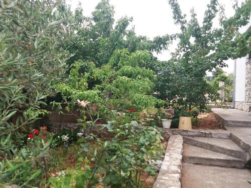 Apartman Lea