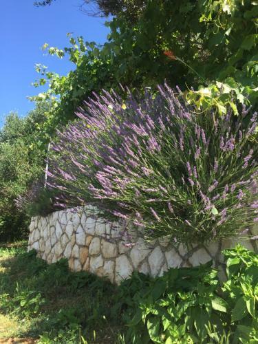 Hostal Apartments And Rooms Krstina