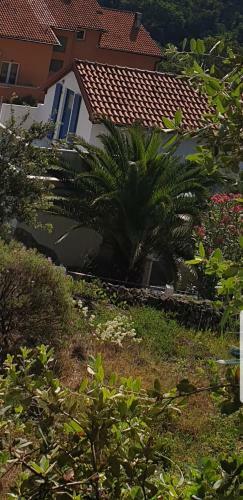 Apartamento Kapulice