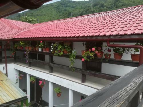 Hostal Pensiunea Casa Montana