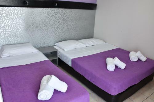 Hotel Erato