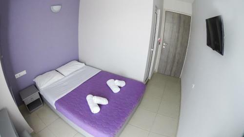 Hotel Erato