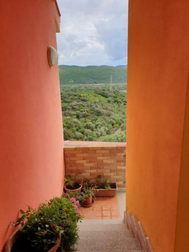 Apartamento Il Granchio