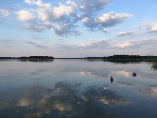 Lodge Domek Letniskowy Kal