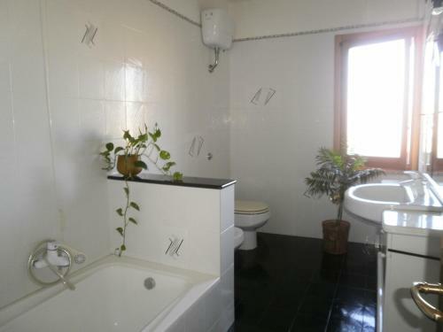 Apartamento Scalas House