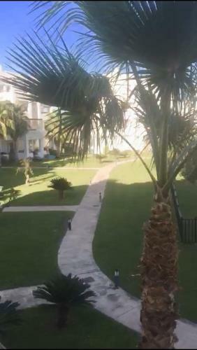 Apartamento Las Terrazas de La Torre