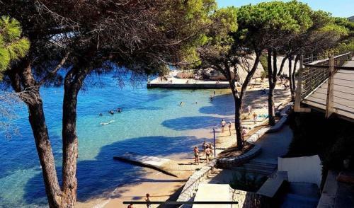 Ginevra Surfhouse
