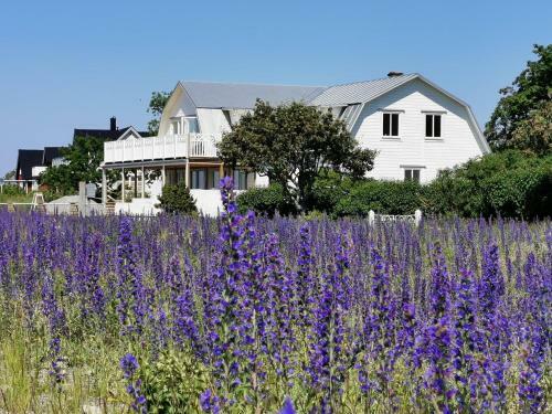 Apartamento Villa Neptuni L�genhet Och Rumsuthyrning