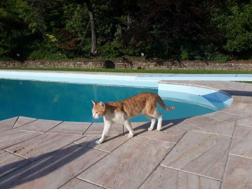 Bed & Breakfast La Giorgetta
