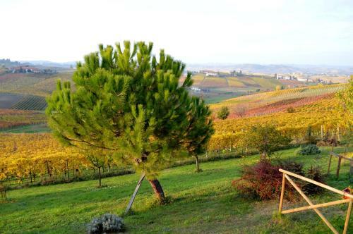 Bed & Breakfast L'antico Fienile