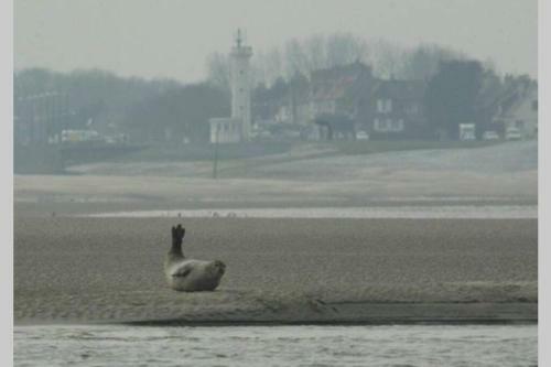 Maison Favieres Baie de Somme