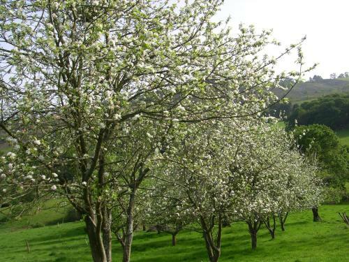 Agroturismo Turismo Rural El Sidron