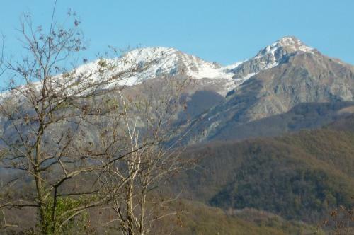Bed & Breakfast Il Poggio Di Traverde