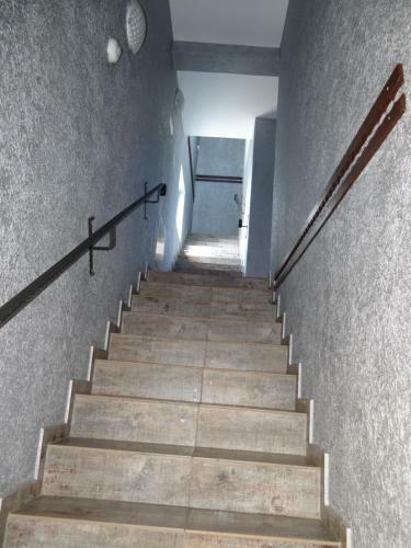 Hostal Pensiunea Lacul Albesti