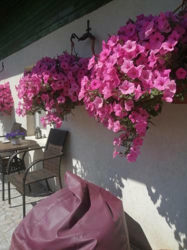 Hostal Searooms Ragaciems
