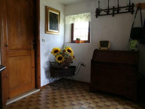 Agroturismo Da Nonno Luciano!