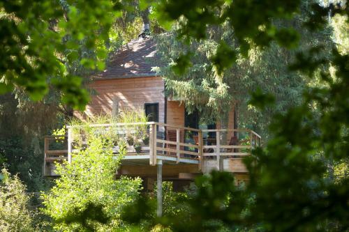 Cabane Dans Les Arbres Avec Spa Les Cabanes de Koad'dour