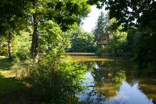 Cabane Dans Les Arbres Avec Spa Les Cabanes de Koad'dour