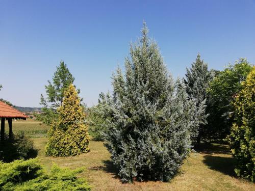 Villa Vila Timok