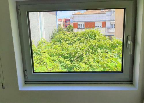 Hostal Casa Das Cam�lias Garden Guesthouse