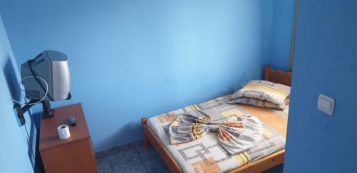 Hostal Casa Radoi