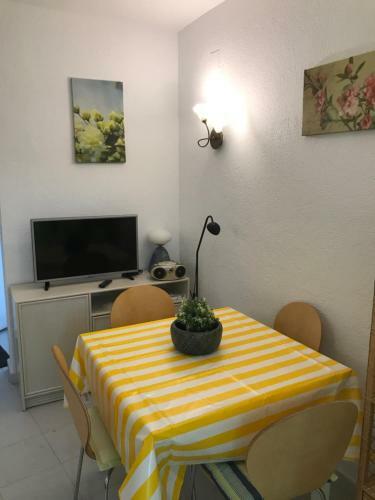 Apartamento Oasis Paradise