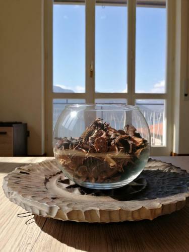 Apartamento Casa Alice (Between Lake And Mountain)