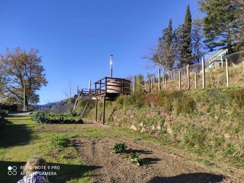 Apartamento Agriturismo Terre Verae