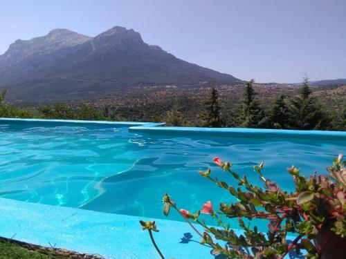 Agroturismo Villa L'oleandro
