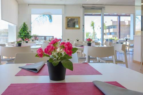 Apartamento Albatros Estudio Vista Al Mar