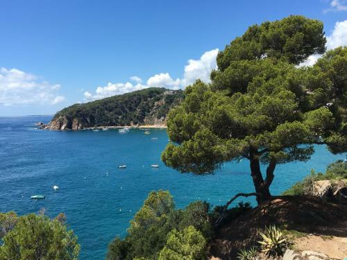 Apartamento Appartements Sol Y Mar Cala Llevado