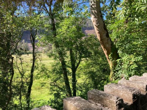 Apartamento Cwtch Yn Y Coed