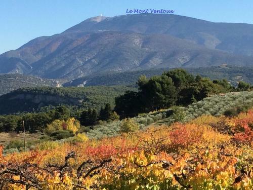 Bed & Breakfast Le Nid Au Pied Du Mont Ventoux